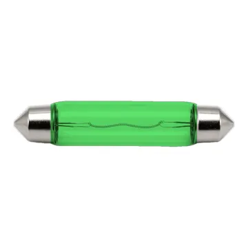 Bulb Rooflight  DC12V10W-Green
