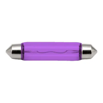 Bulb Rooflight  DC12V10WPurple