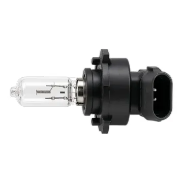 Halogen Bulb 9006 12V 55W